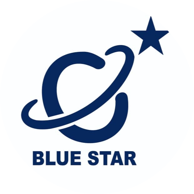 BLUE STAR HI-TECH LIMITED